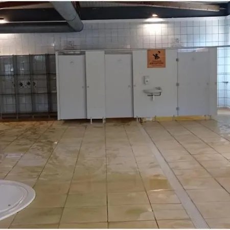 Kemping Le Ried To Hapi